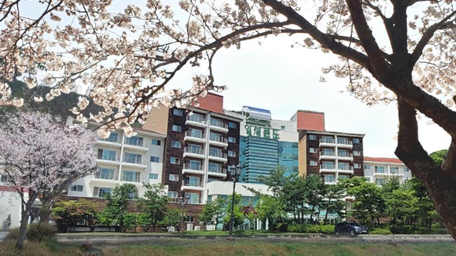 Muju Ilsung Condo Bagian luar foto